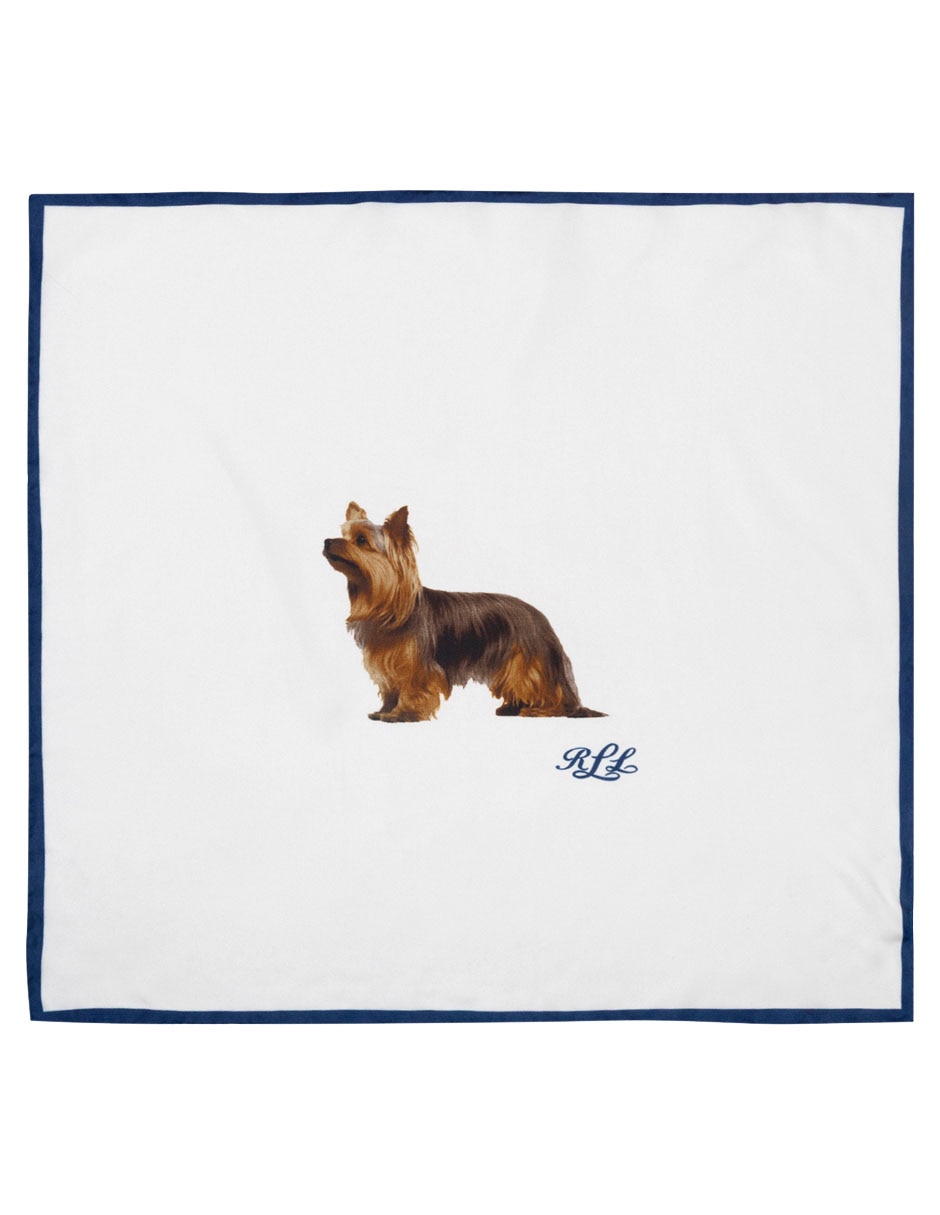 Pashmina de seda para mujer 2