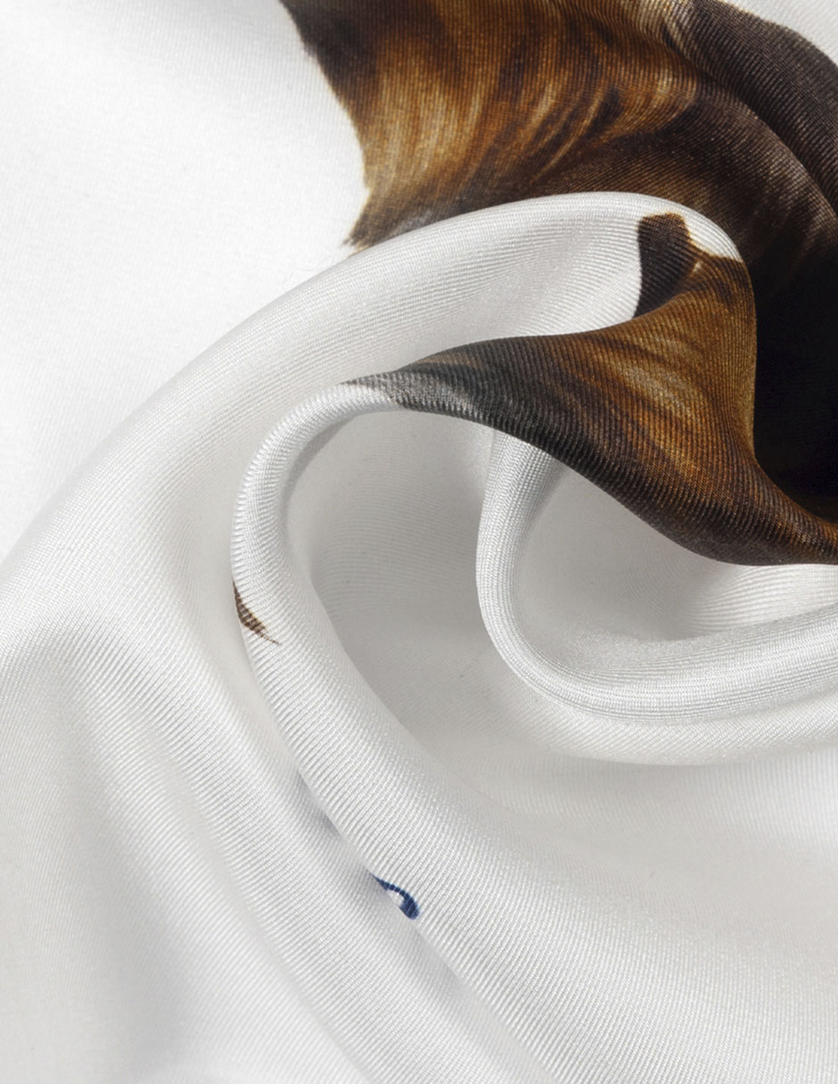 Pashmina de seda para mujer 3