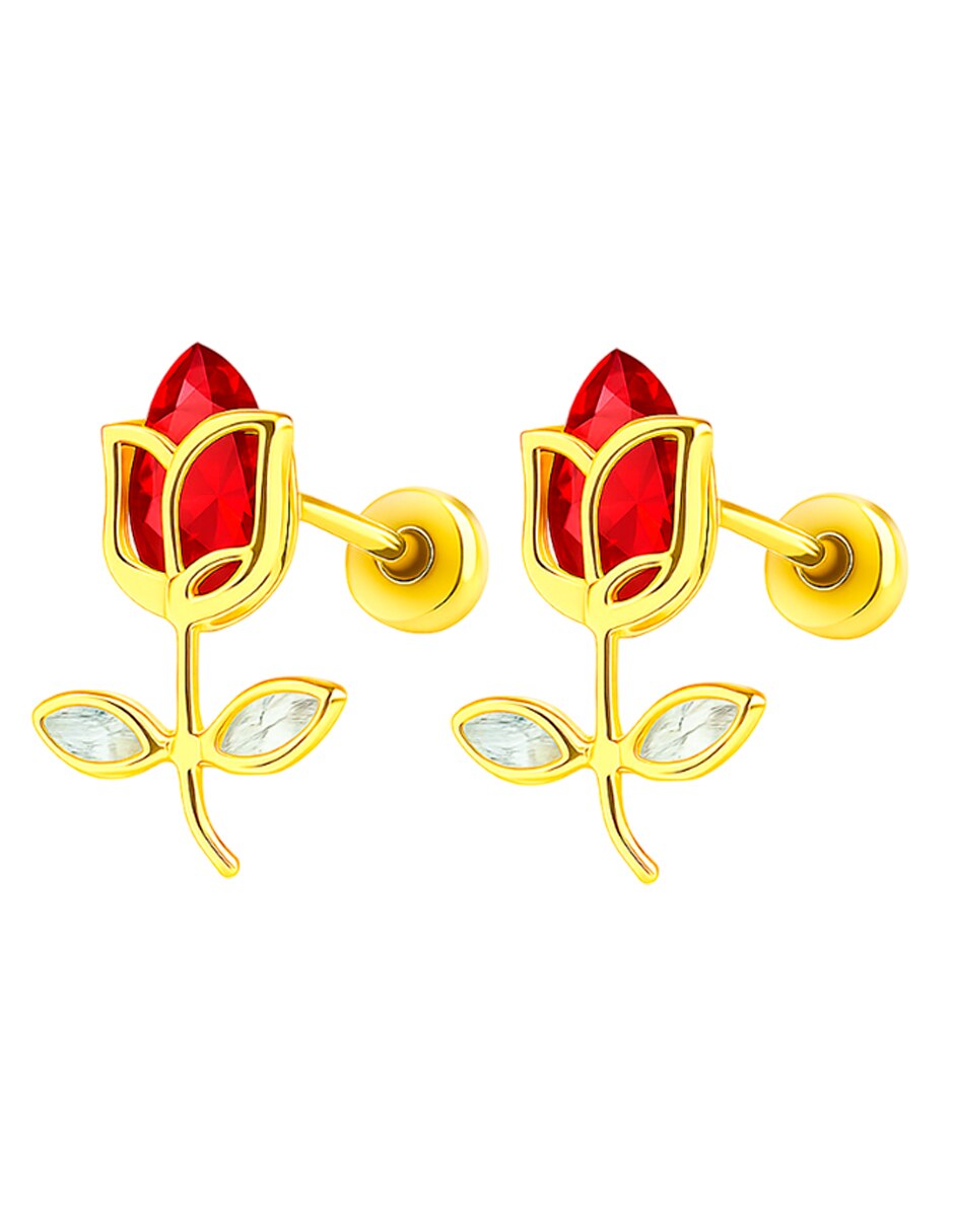 Broqueles de (si aplica) No aplica SIN FAMILIA de Oro amarillo 14 K con acabado Brillante Zirconia 2