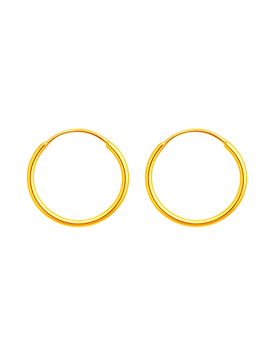Arracadas de (si aplica) No aplica Sin familia de Oro 10 K con acabado Brillante Sin gema Arracadas de (si aplica) No aplica Sin familia de Oro 10 K con acabado Brillante Sin gema