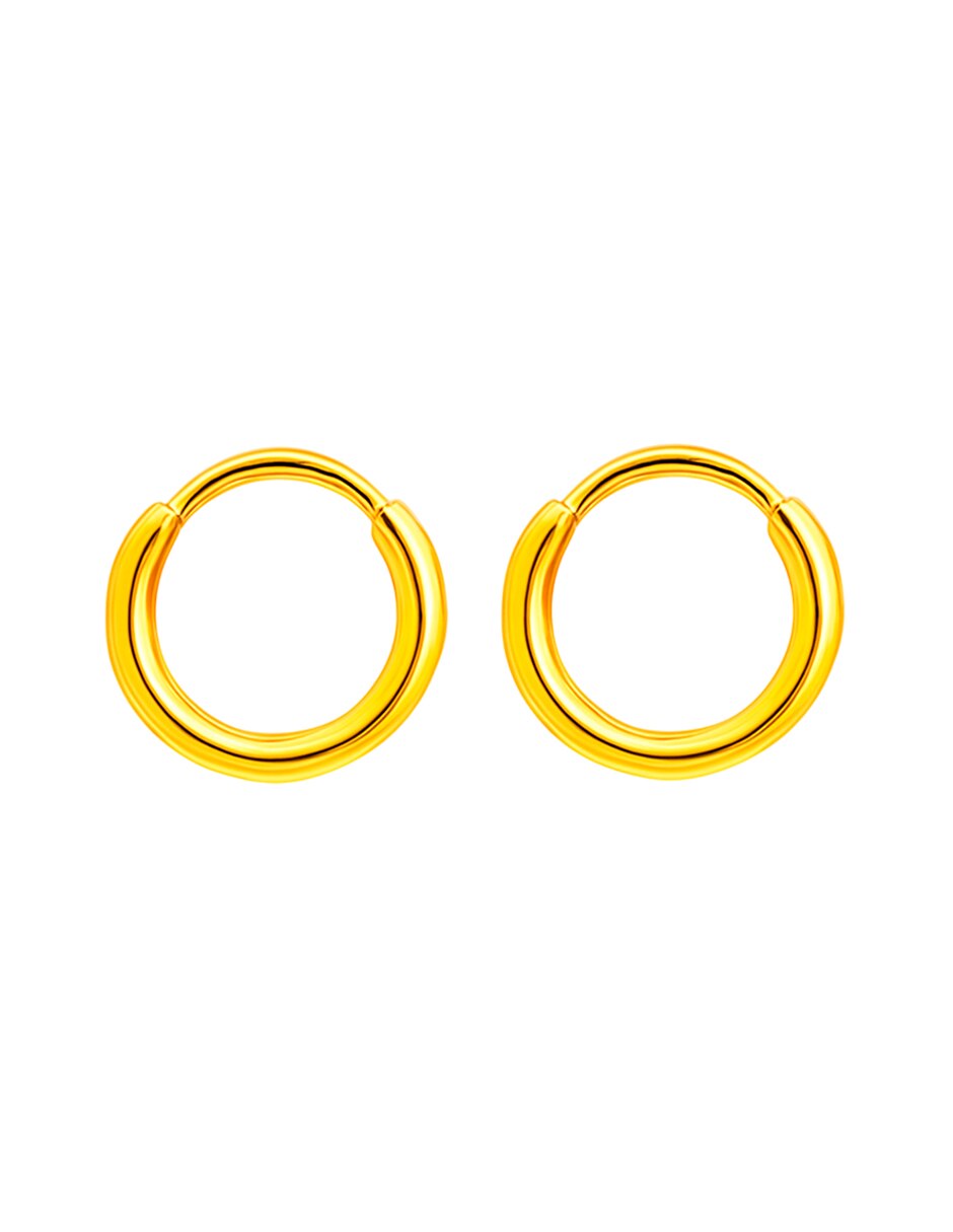Arracadas de (si aplica) No aplica Sin familia de Oro 10 K con acabado Brillante Sin gema Arracadas de (si aplica) No aplica Sin familia de Oro 10 K con acabado Brillante Sin gema